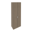 Вяз